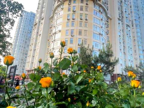 квартира по адресу Французский бульв., 22/3