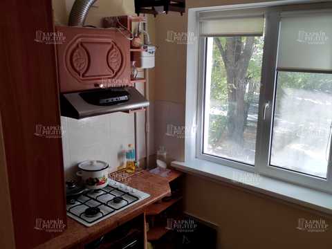квартира по адресу Гвардейцев-Широнинцев ул., 18в