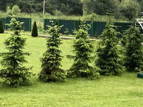 комерційна за адресою Шевченка, 54а