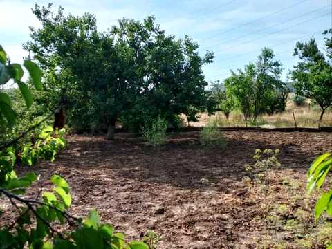 будинок за адресою Огонькова