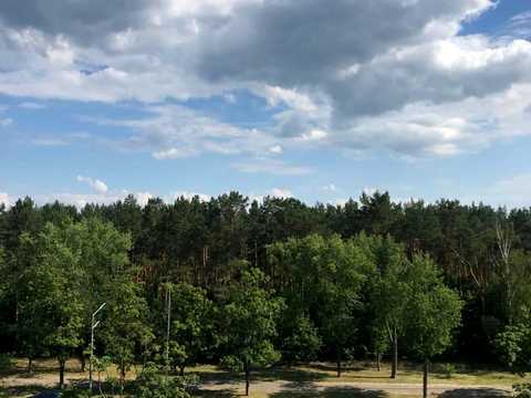 квартира по адресу Лесной просп., 43