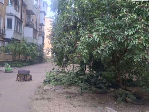 квартира за адресою Сегедська вул., 15а