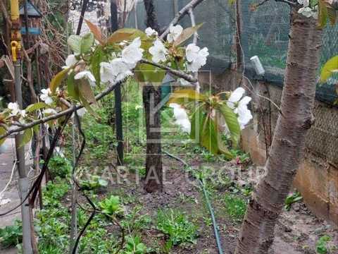 будинок за адресою Любима