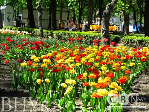 квартира за адресою Яновського вул., 96