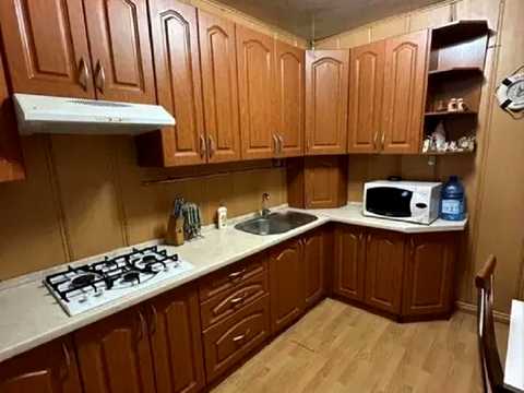 дом по адресу с. Партизанское, Центральна ул.