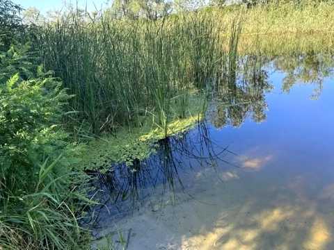 дом по адресу с. Партизанское, Центральна ул.