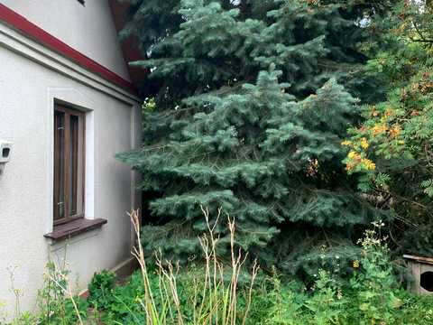 будинок за адресою с. Нова Лішня, Ювілейна, 32