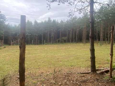 участок по адресу 