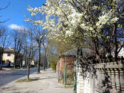 дом по адресу Лычаковская ул. (Ленина), 243