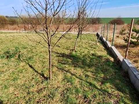 дом по адресу Степана Бандери, 13