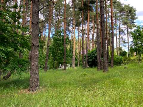 дом по адресу Саксаганського