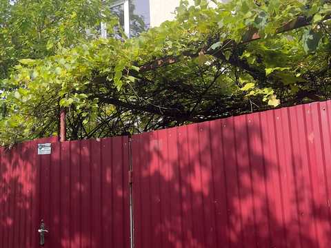 дом по адресу Медична ул.