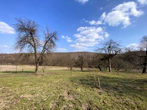 будинок за адресою с. Будки, Козаки, 31