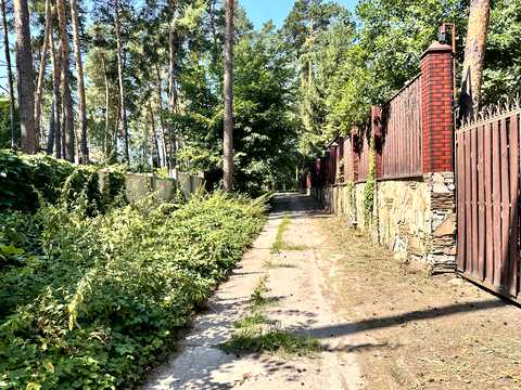 ділянка за адресою Лісна