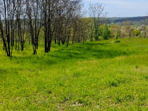 ділянка за адресою курамічний провулок