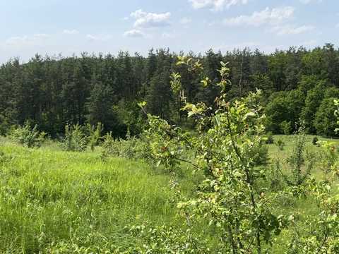 ділянка за адресою курамічний провулок