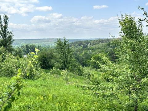 ділянка за адресою курамічний провулок