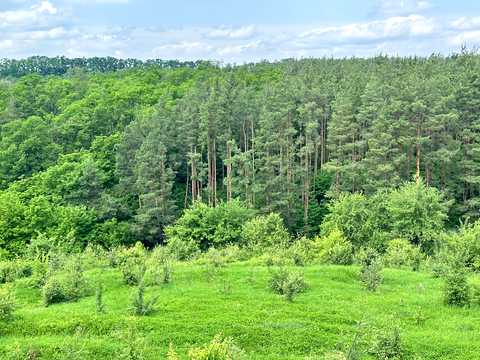 ділянка за адресою курамічний провулок