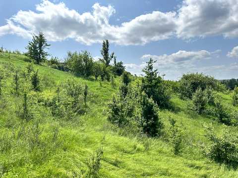 ділянка за адресою курамічний провулок