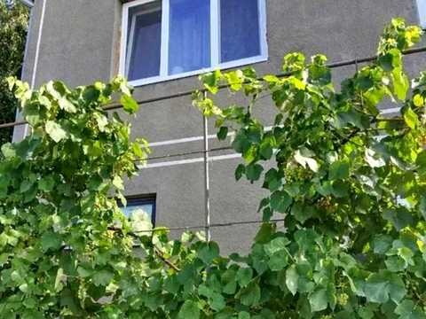 будинок за адресою Кропивницький, Одеська вул., 39