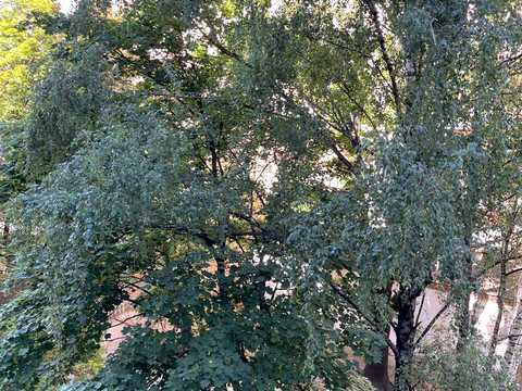 квартира за адресою Златопільська вул., 4-К