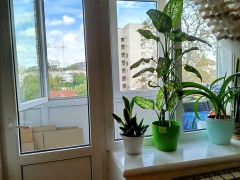 квартира за адресою Житомир, Фещенка-Чопівського вул., 27