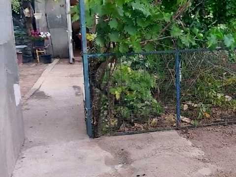 будинок за адресою Огонькова