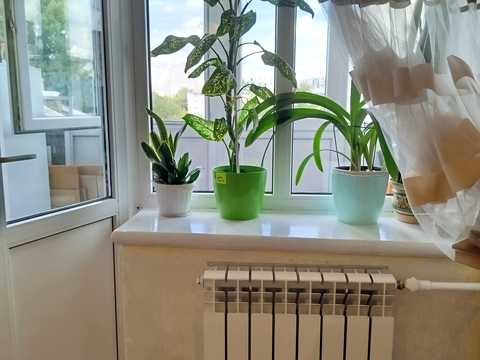 квартира за адресою Житомир, Фещенка-Чопівського вул., 27
