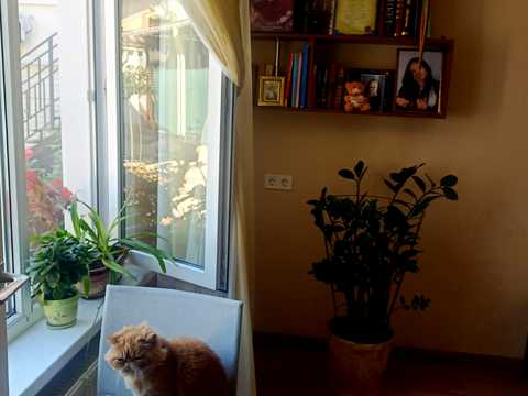 кімната за адресою Одеса, 4 линия, 16