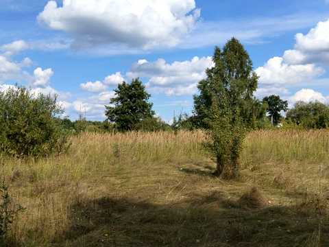 участок по адресу Рідна
