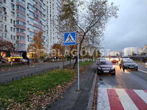 комерційна за адресою Княжий Затон вул., 2/30