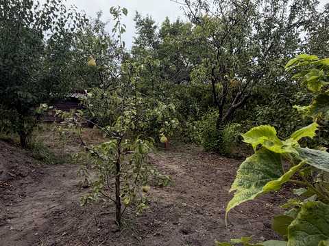 дом по адресу Ірпінська