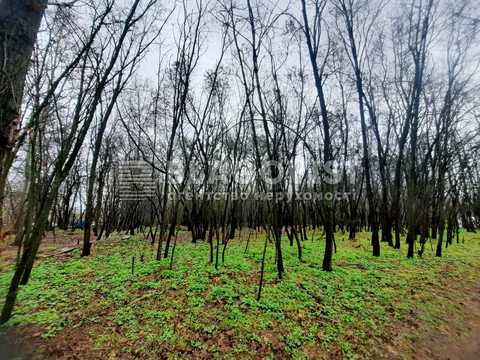 комерційна за адресою Київ, Велика Васильківська вул. (Червоноармійська), 28