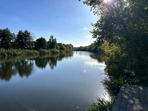 ділянка за адресою с. Тептіївка, Корсунська, 54