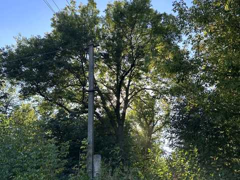 ділянка за адресою с. Тептіївка, Корсунська, 54
