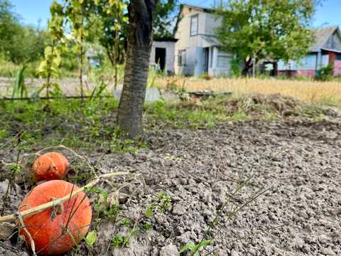 дом по адресу СТ Схід