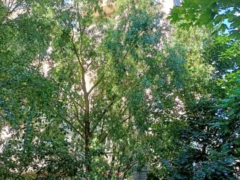 квартира за адресою Урлівська вул., 21
