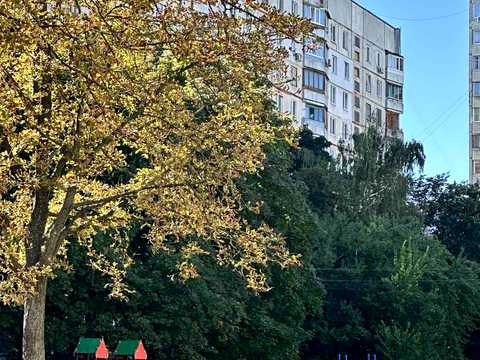 квартира по адресу Маршала Рыбалко ул. (Маршала Рибалка), 49