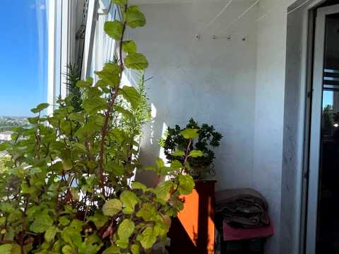 квартира за адресою Андрія Первозванного вул. (Стахурського), 36