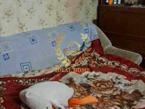 дом по адресу Малишка, 5