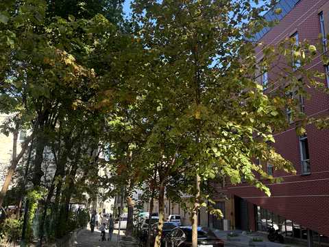 квартира по адресу академика Кучера ул., 12