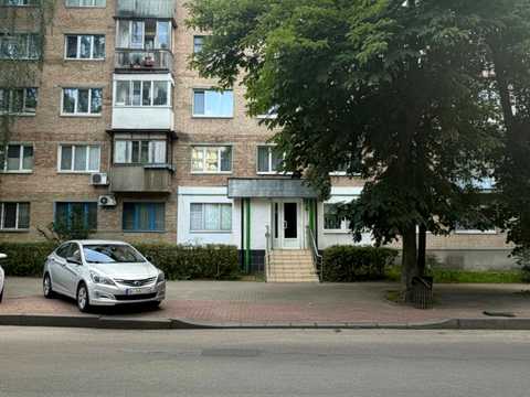 комерційна за адресою Зелена вул., 17