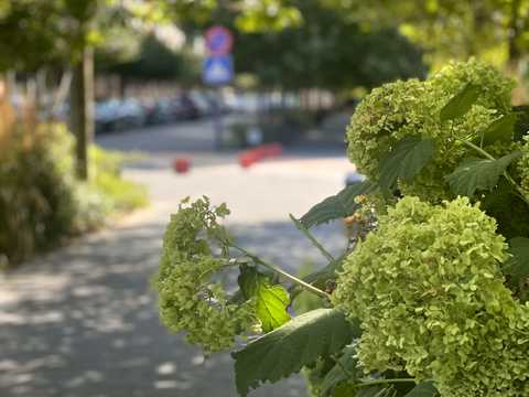 квартира по адресу Академика Вильямса ул., (Будинок 7)