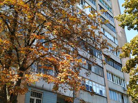 квартира за адресою Власенка вул., 4