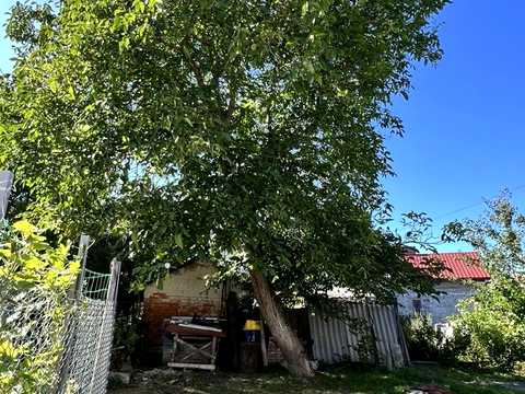 квартира за адресою Січових Стрільців вул., 18