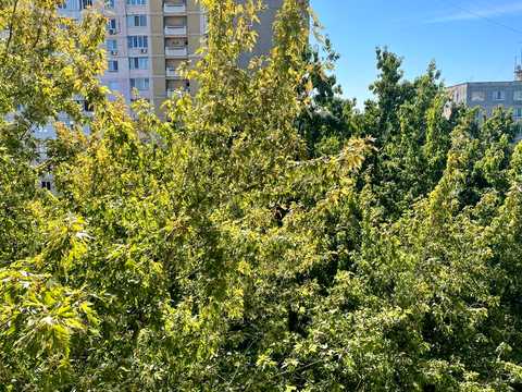 квартира по адресу Лесной просп., 33