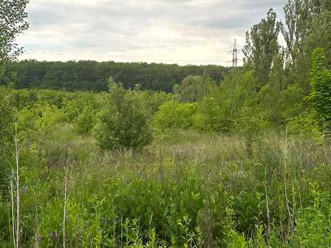 участок по адресу Калинова, 16