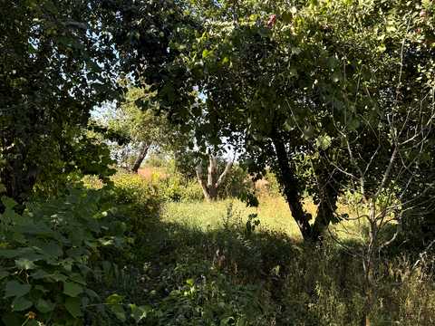 будинок за адресою смт. Березна, Східна