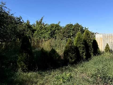 будинок за адресою смт. Березна, Східна