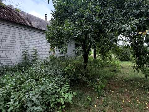 будинок за адресою с. Троянів, Шевченко, 5